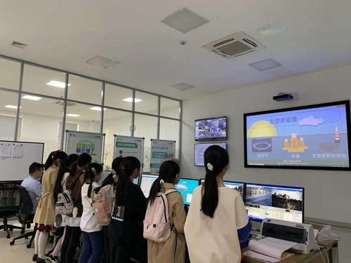 薄偉英工作室 我是 小河長 園區第二實驗小學 360小海豚 職業體驗活動